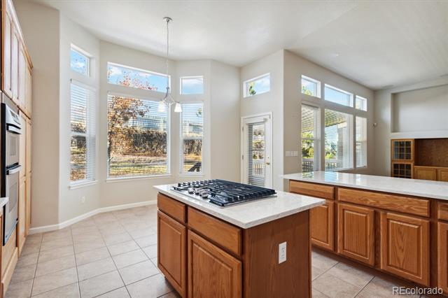 1025 Bramblewood Drive