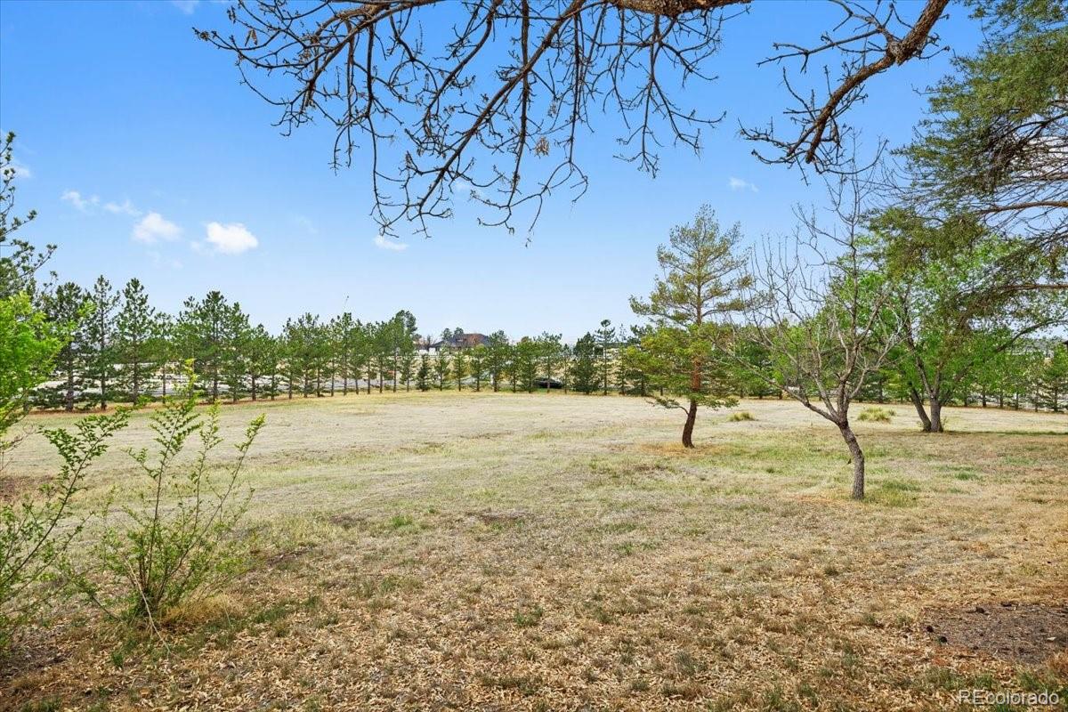 6471 E Lookout Drive