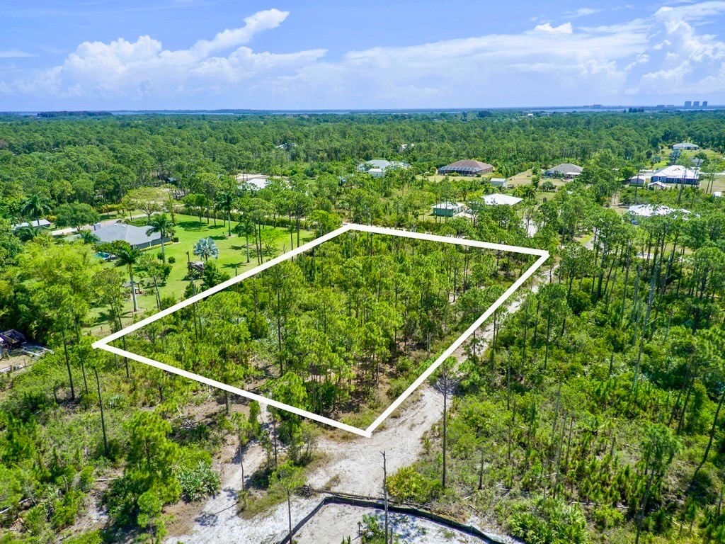 0 Tree Top Trail