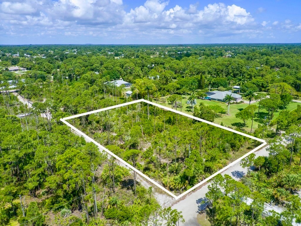 0 Tree Top Trail