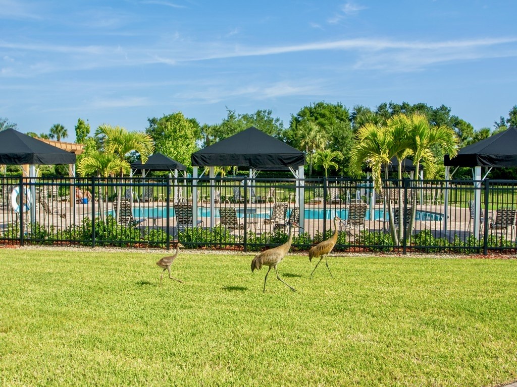 2584 Crowned Eagle Circle SW