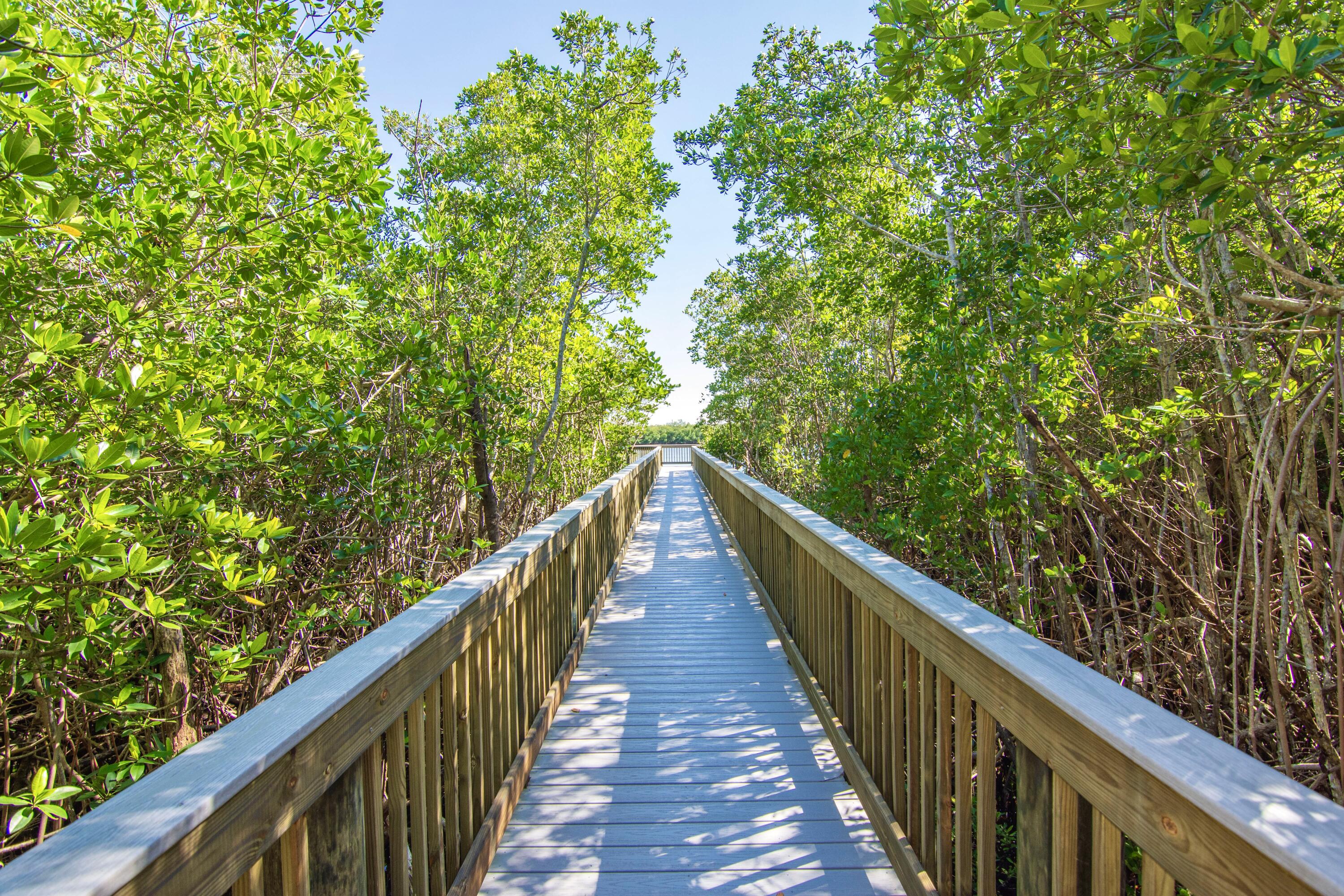 9360 Orchid Cove Circle