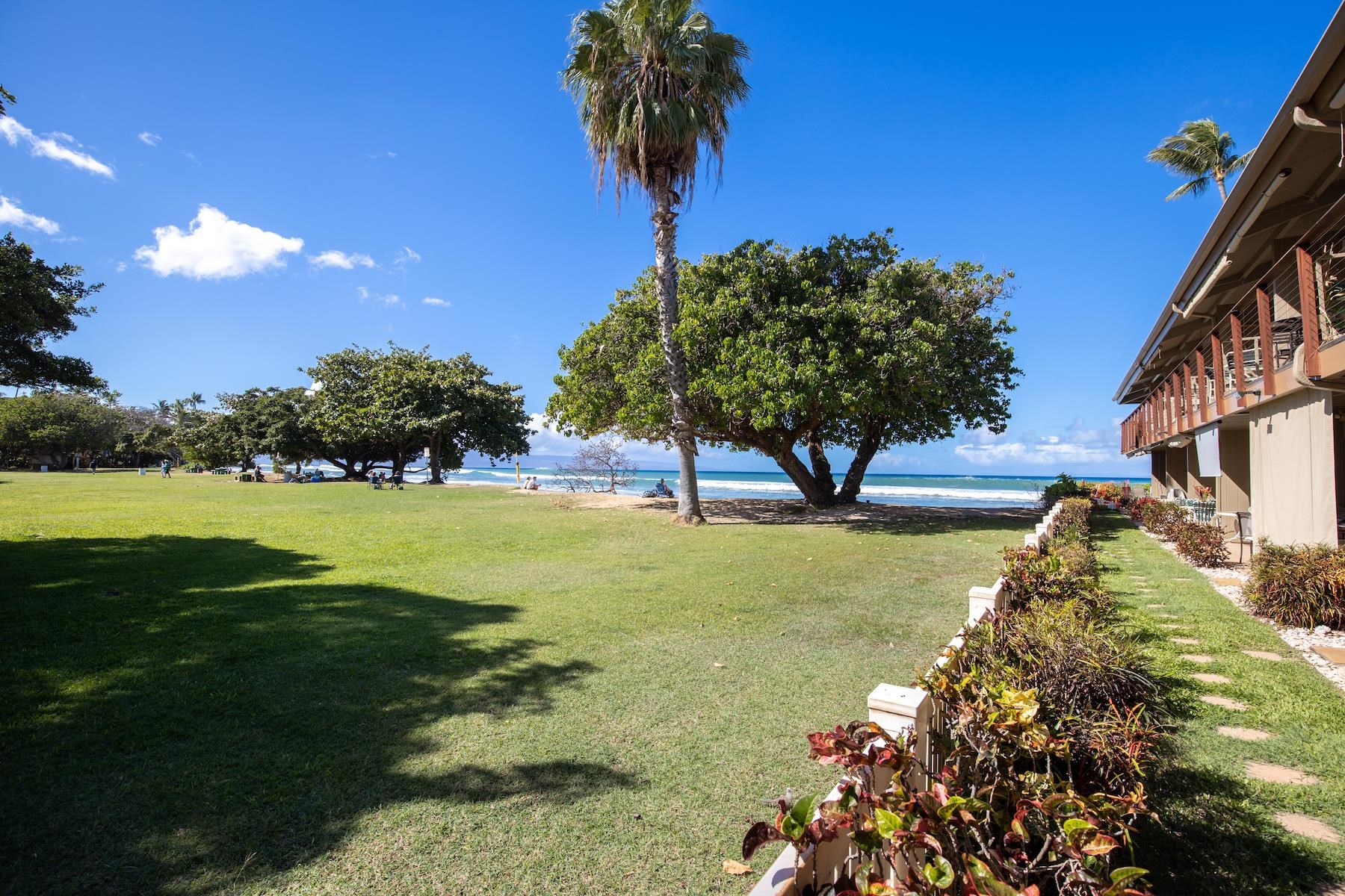 3695 Lower Honoapiilani Rd Unit: 102