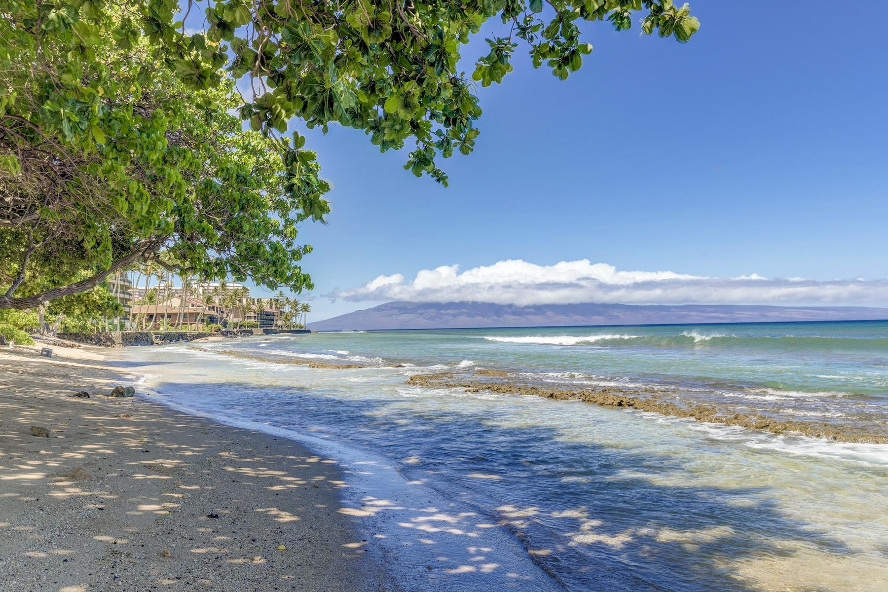 3695 Lower Honoapiilani Rd Unit: 102