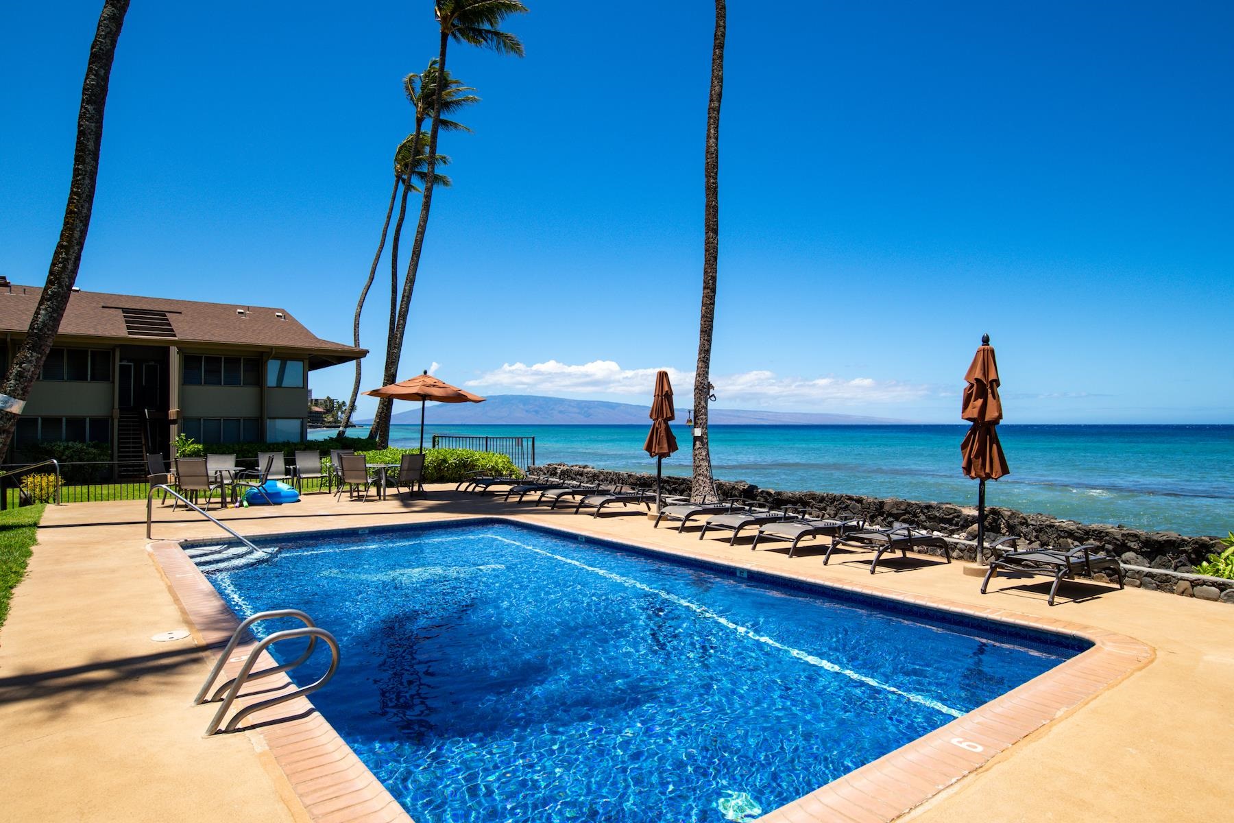 3695 Lower Honoapiilani Rd Unit: 102