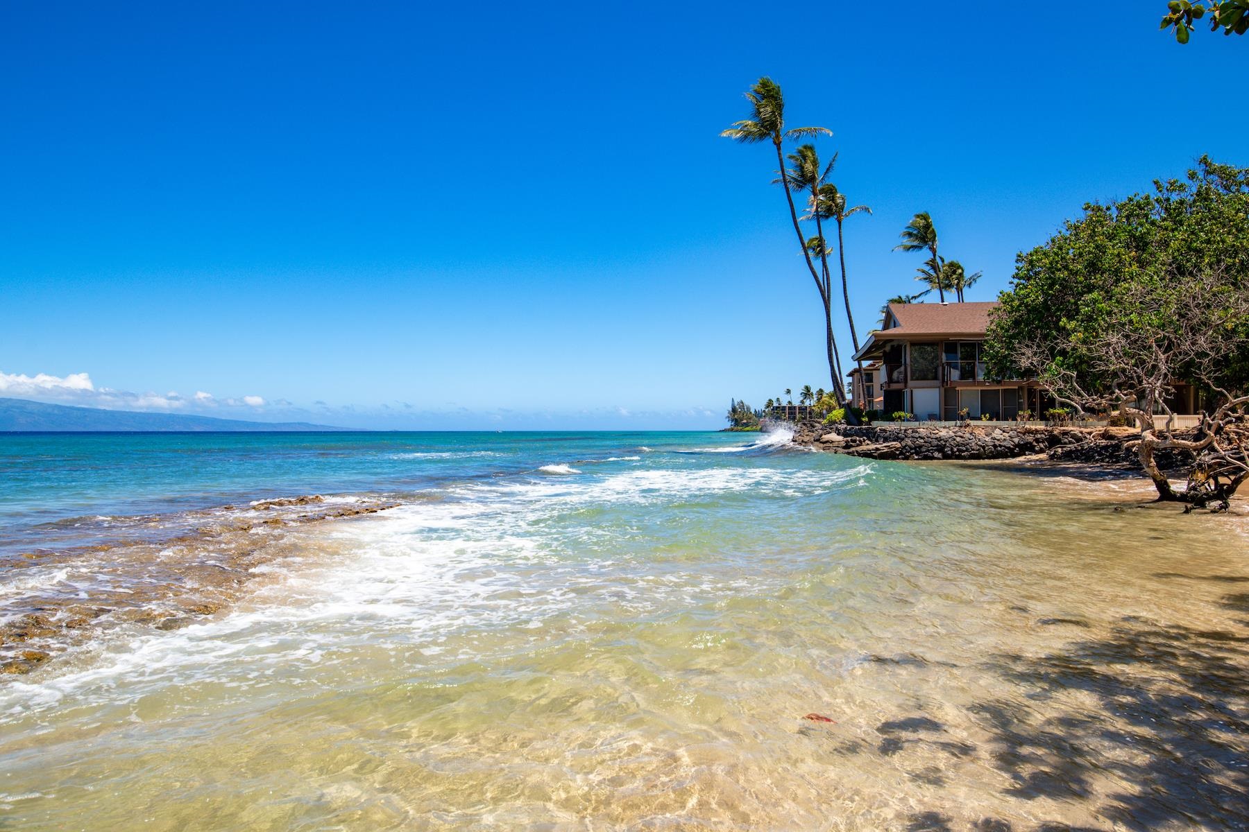 3695 Lower Honoapiilani Rd Unit: 102