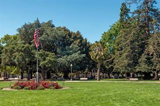 555 Laurel AVE 215