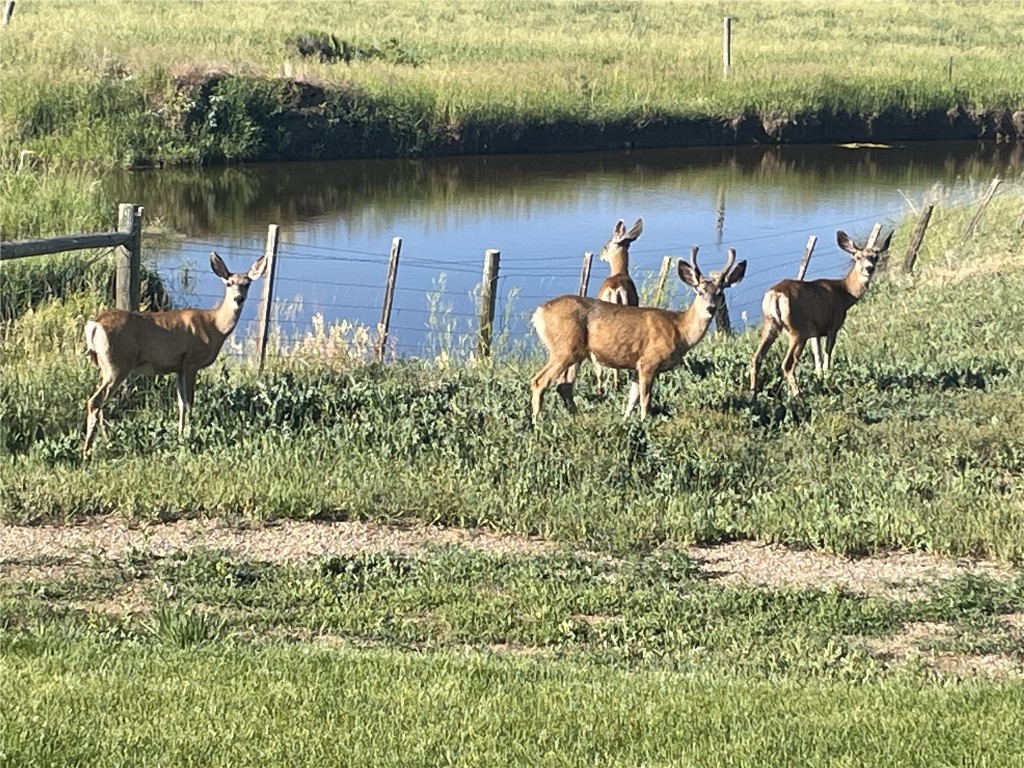 874 Dry Creek ROAD S