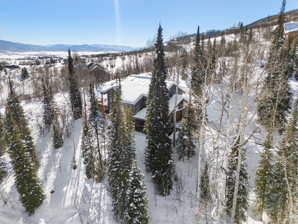 31055 Tree Top LANE