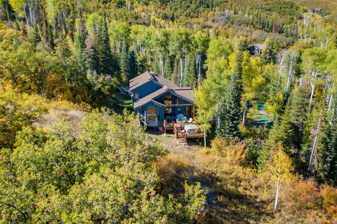 31055 Tree Top LANE