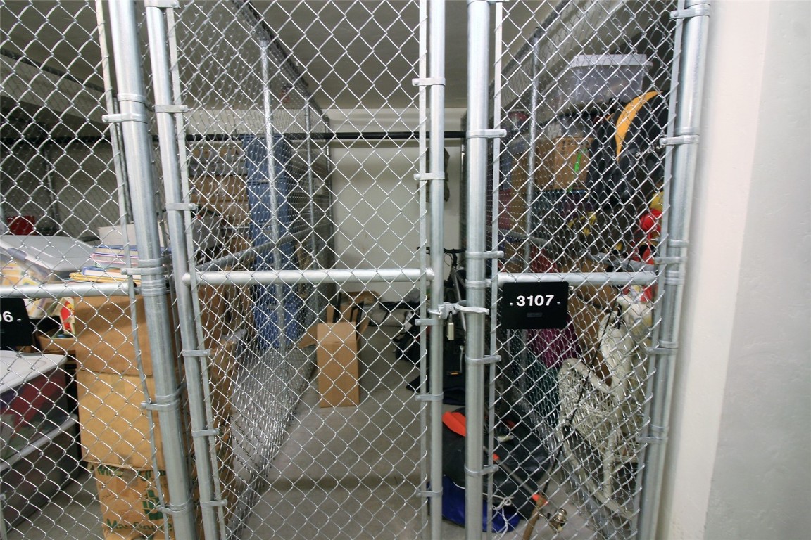 2545 Cattle Kate CIRCLE 3107