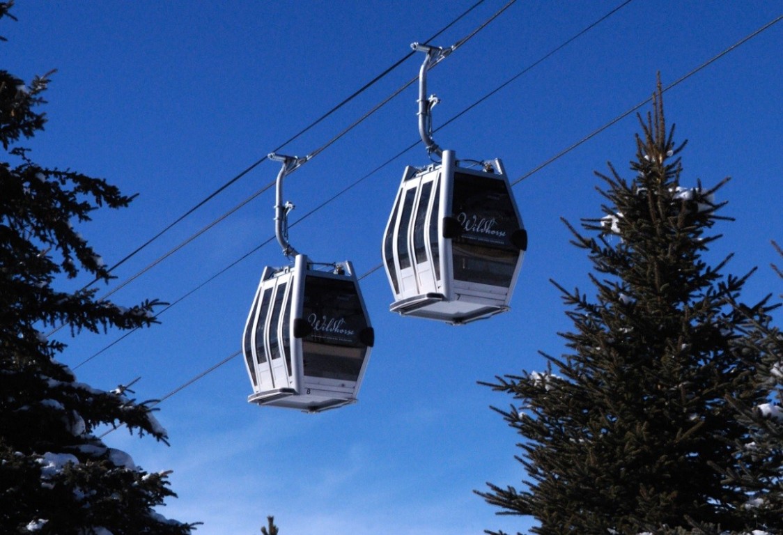 2545 Cattle Kate CIRCLE 3107