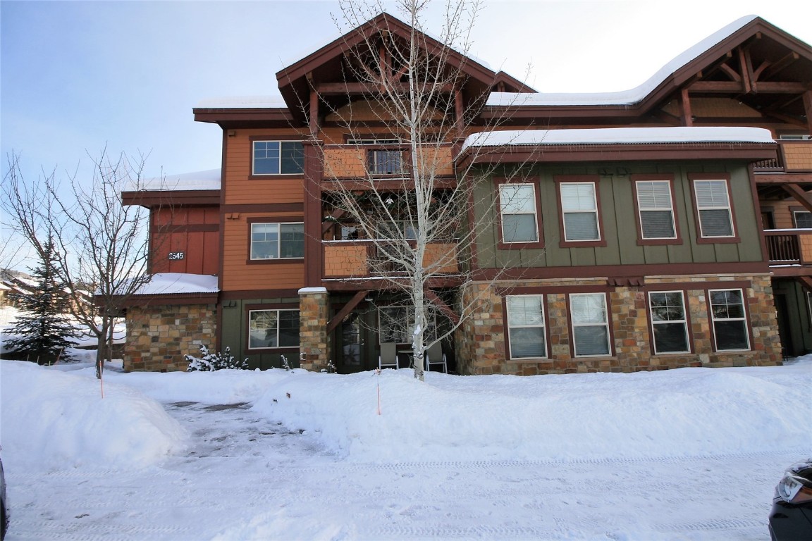 2545 Cattle Kate CIRCLE 3107