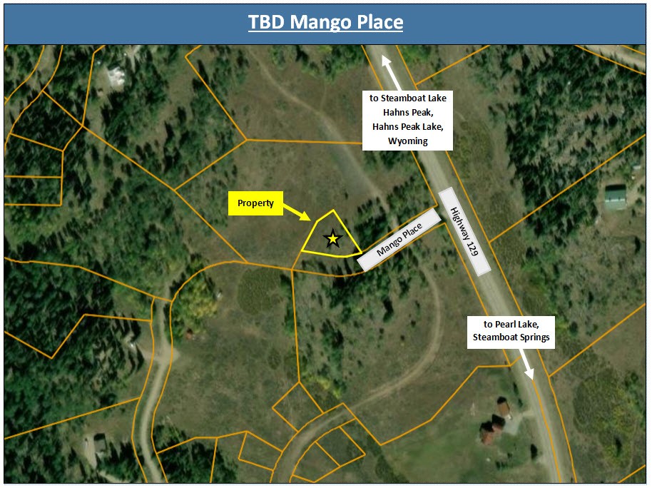 TBD Mango PLACE