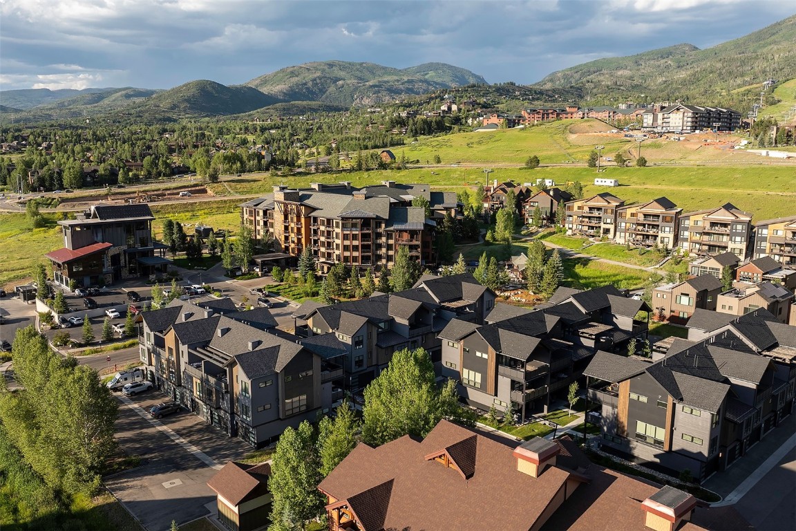 2404 Cattle Kate CIRCLE 21