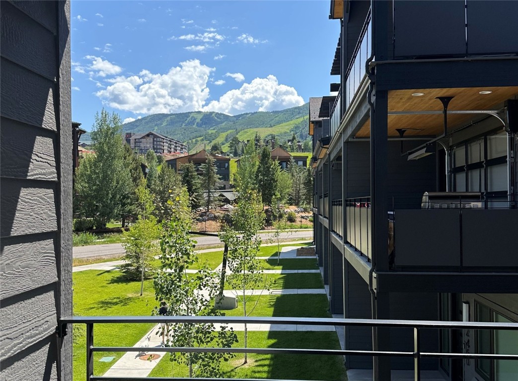 2404 Cattle Kate CIRCLE 21