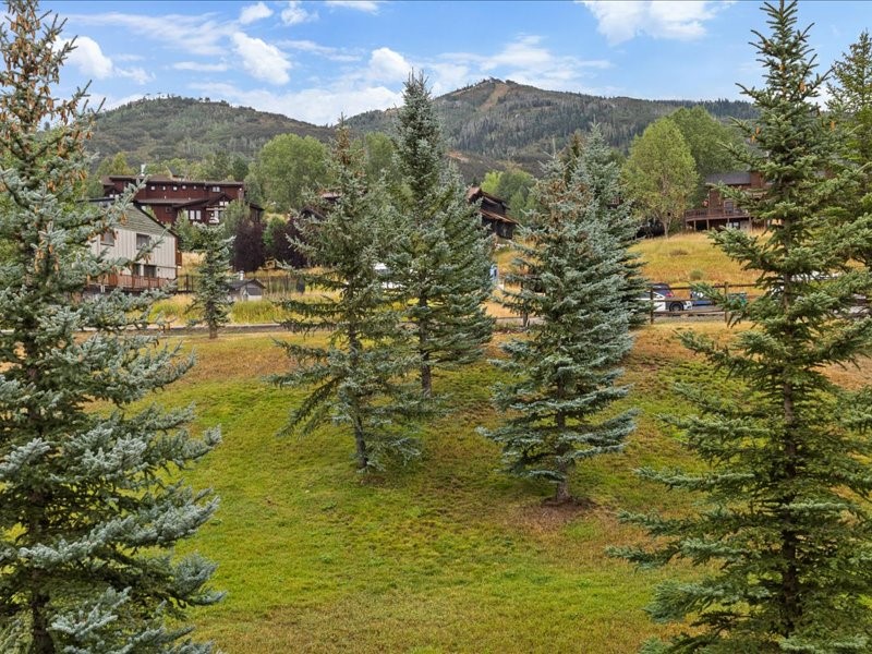 3315 Columbine DRIVE 1307