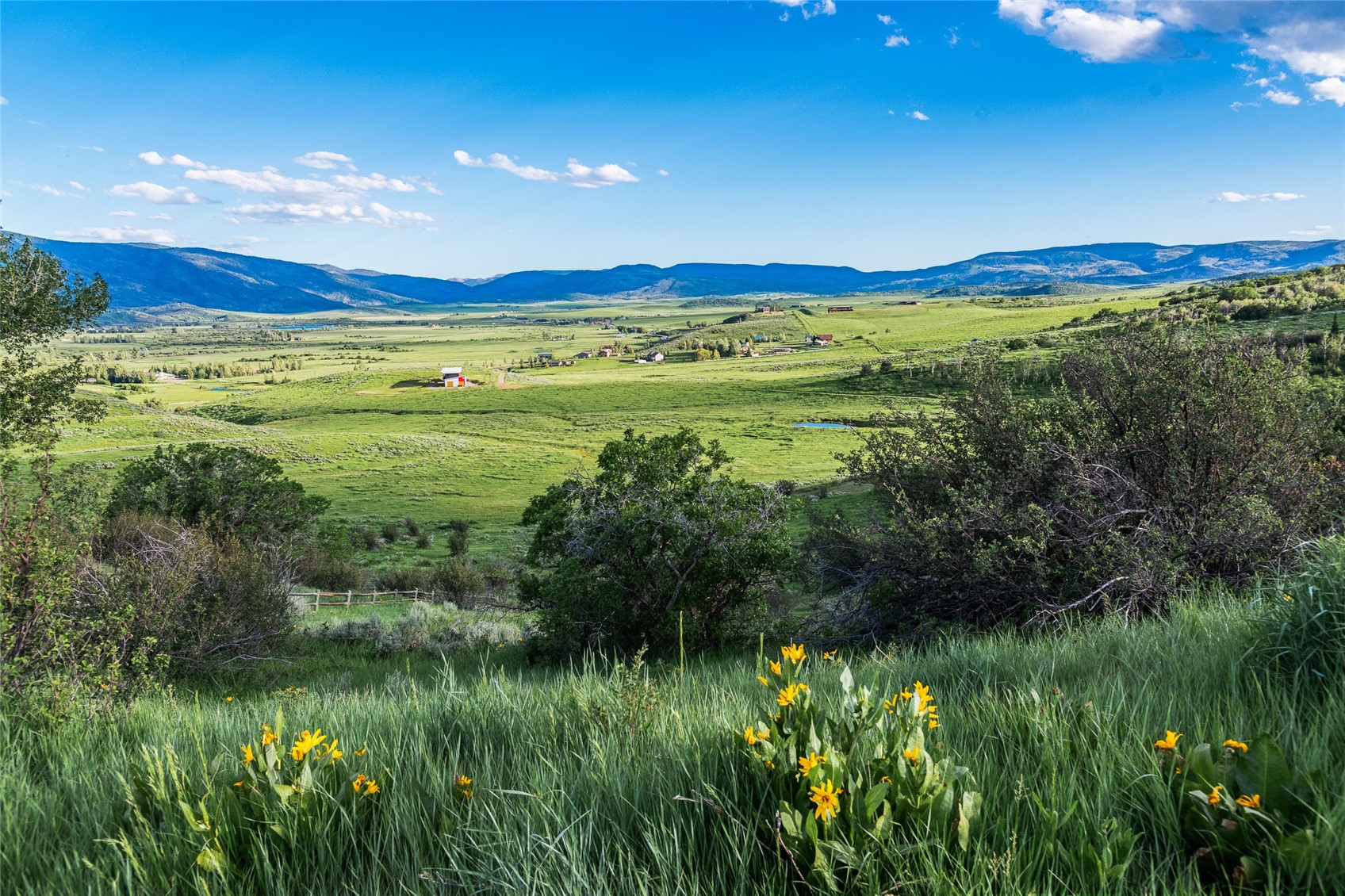34640 Country Green ROAD