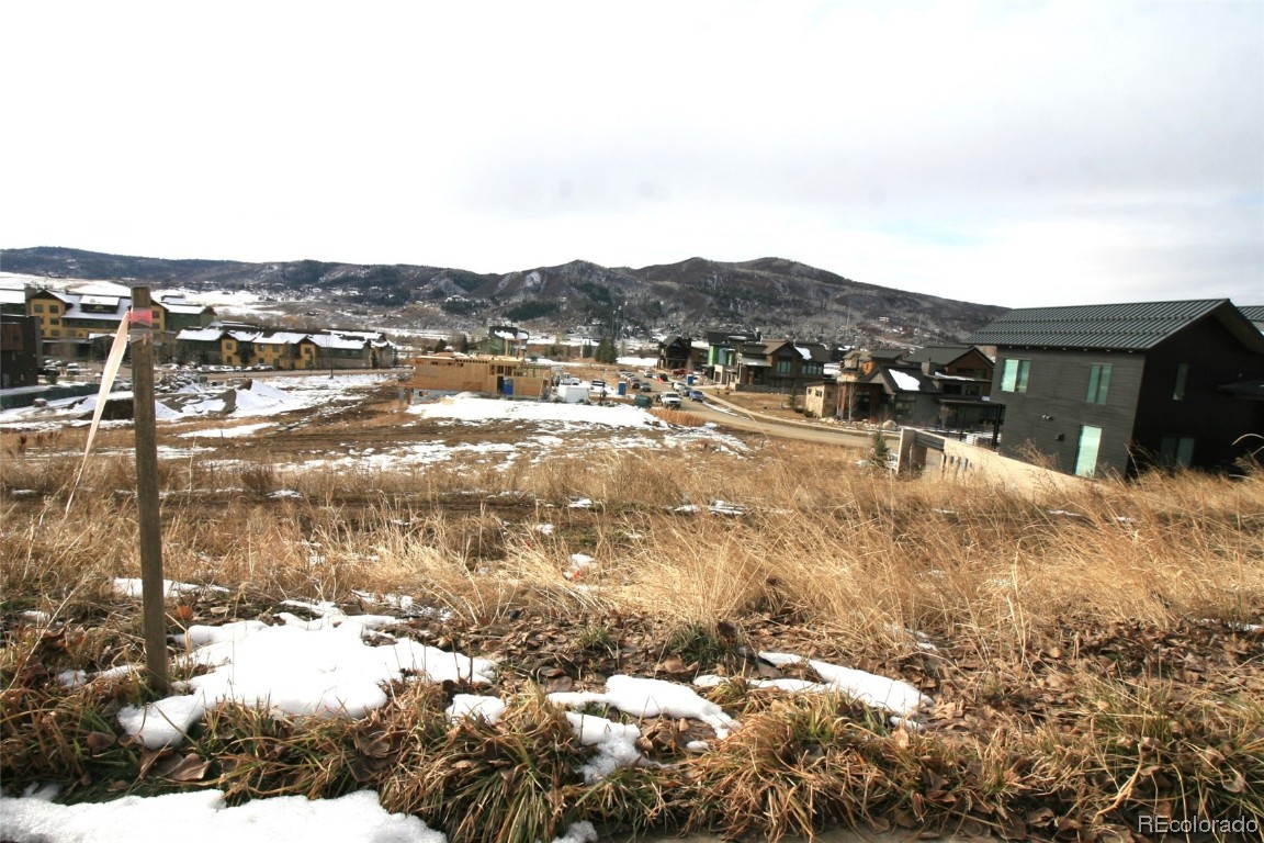 2735 Bronc Buster LOOP