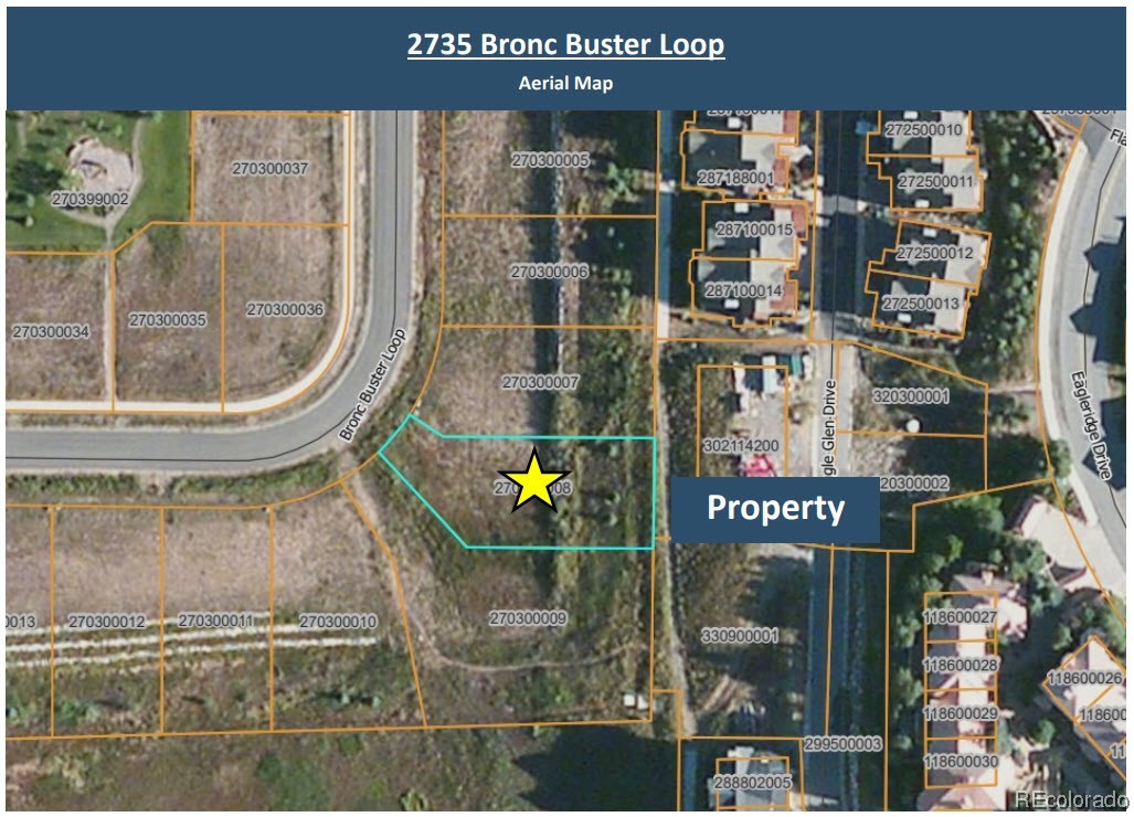 2735 Bronc Buster LOOP