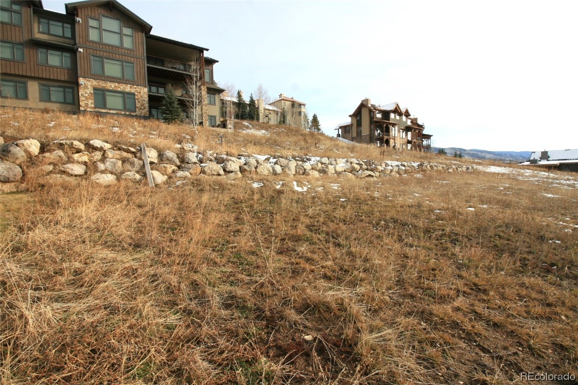 2735 Bronc Buster LOOP