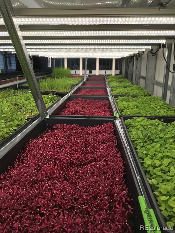 481 Enterprise STREET