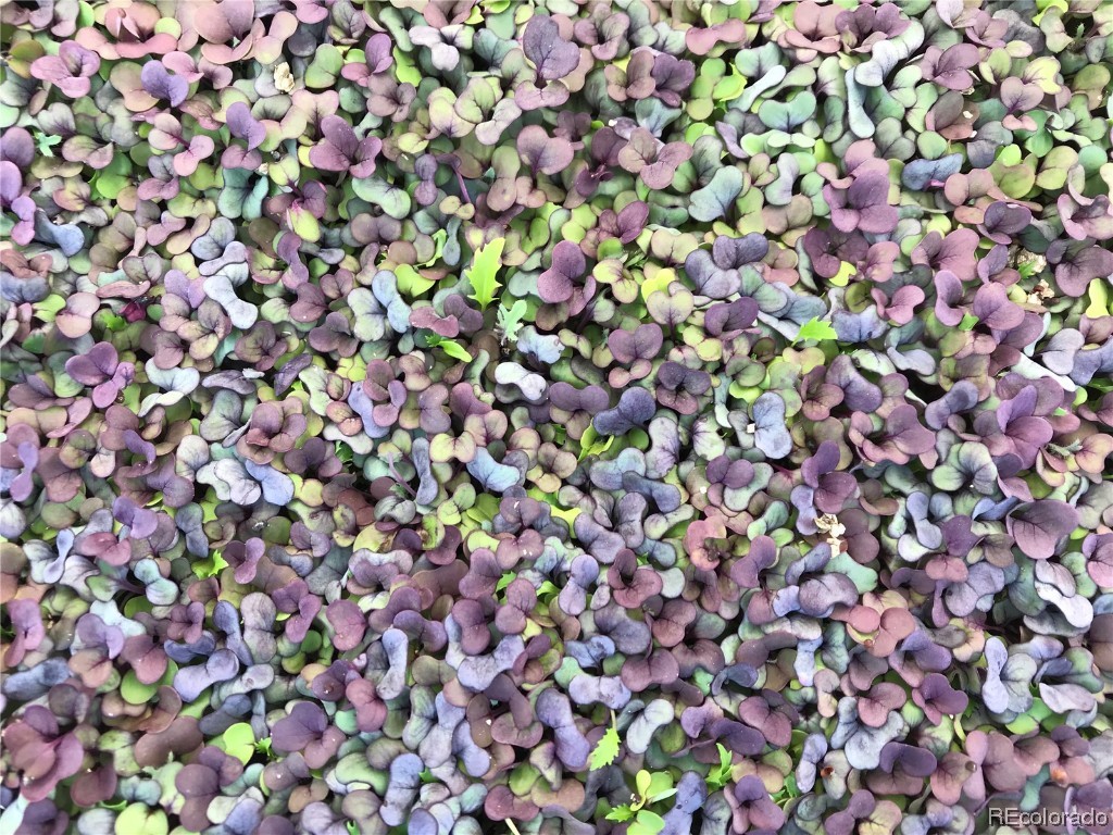 481 Enterprise STREET