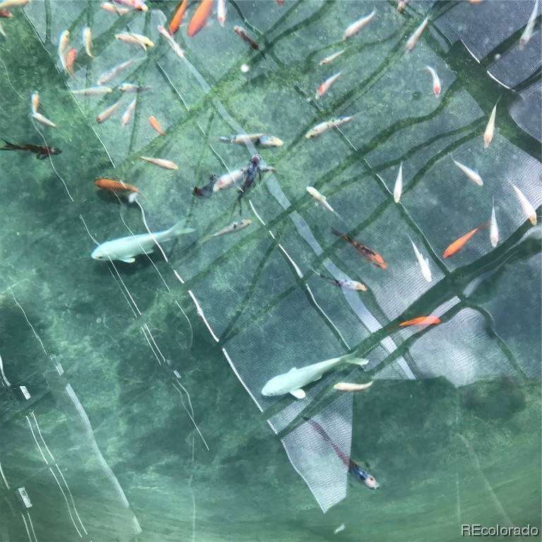 481 Enterprise STREET