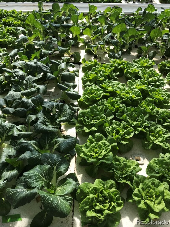 481 Enterprise STREET