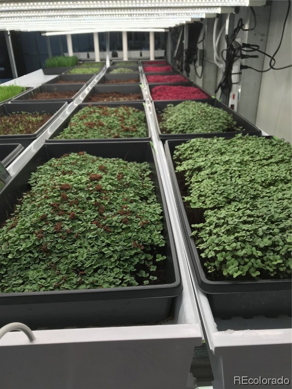 481 Enterprise STREET