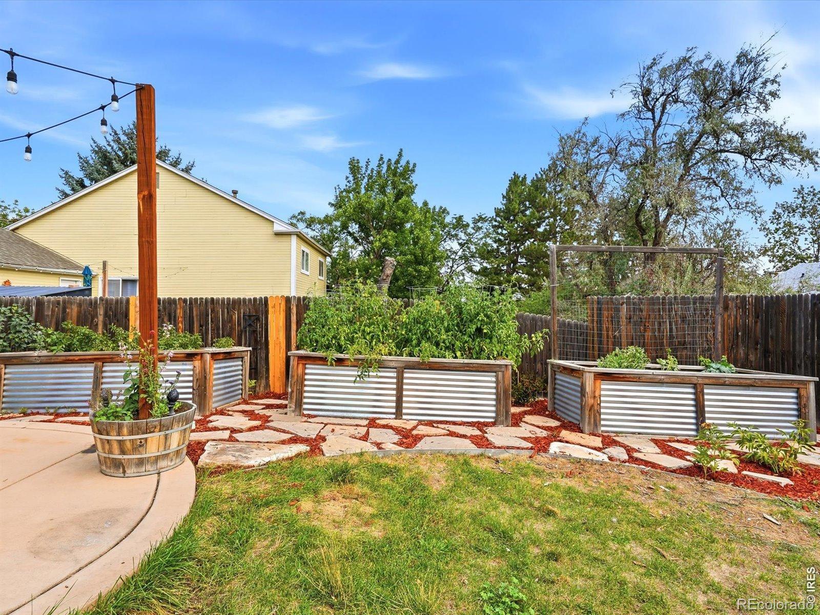 971 Vetch Circle