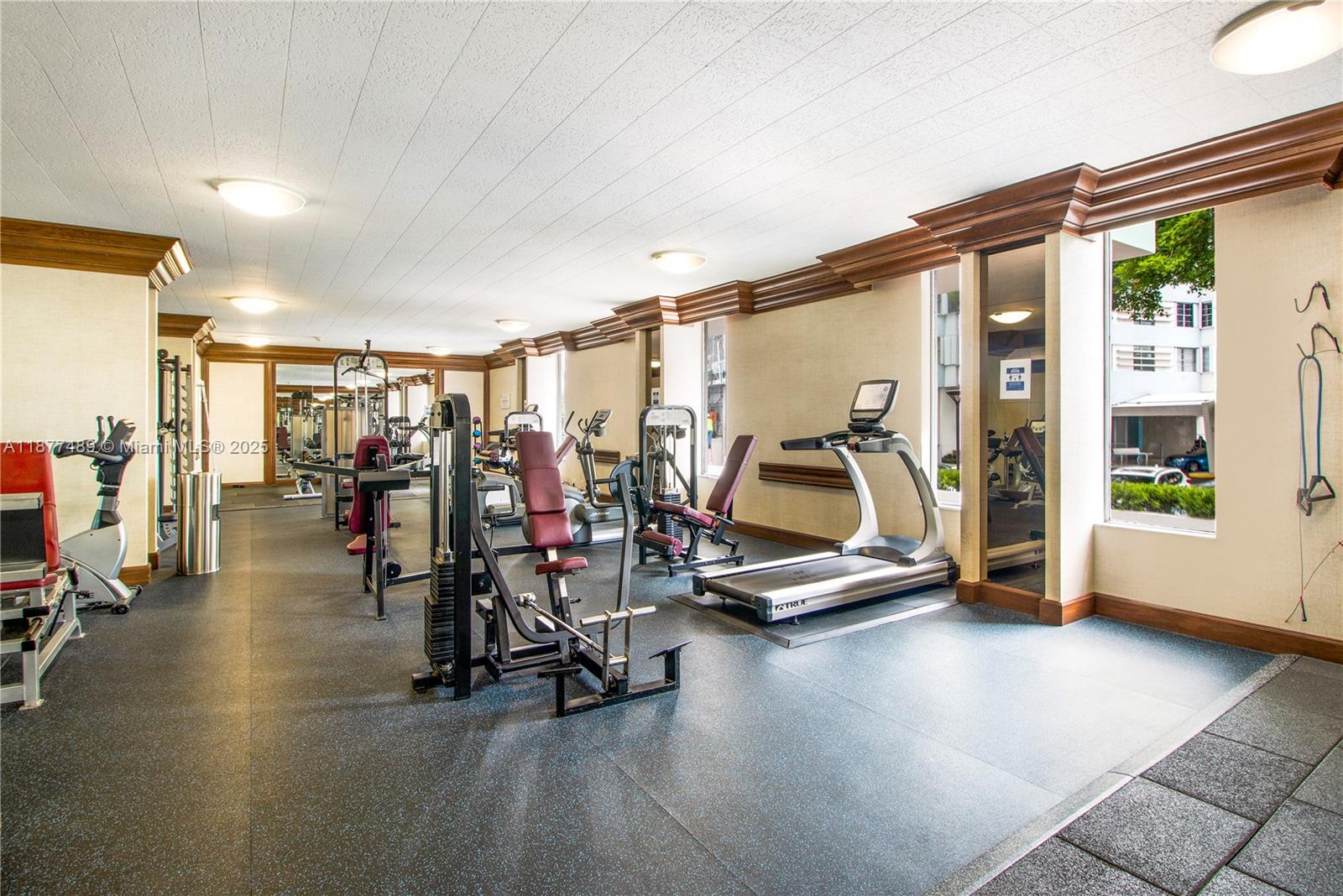 5 Island Ave # 11F
