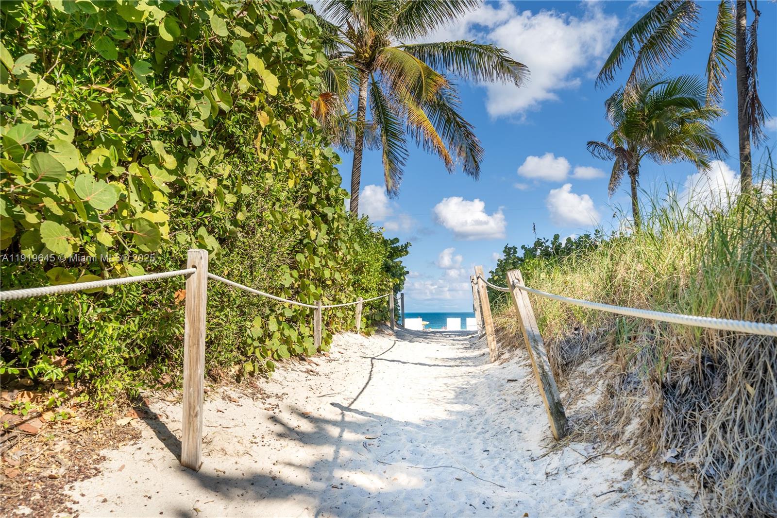 1621 Collins Ave # 802