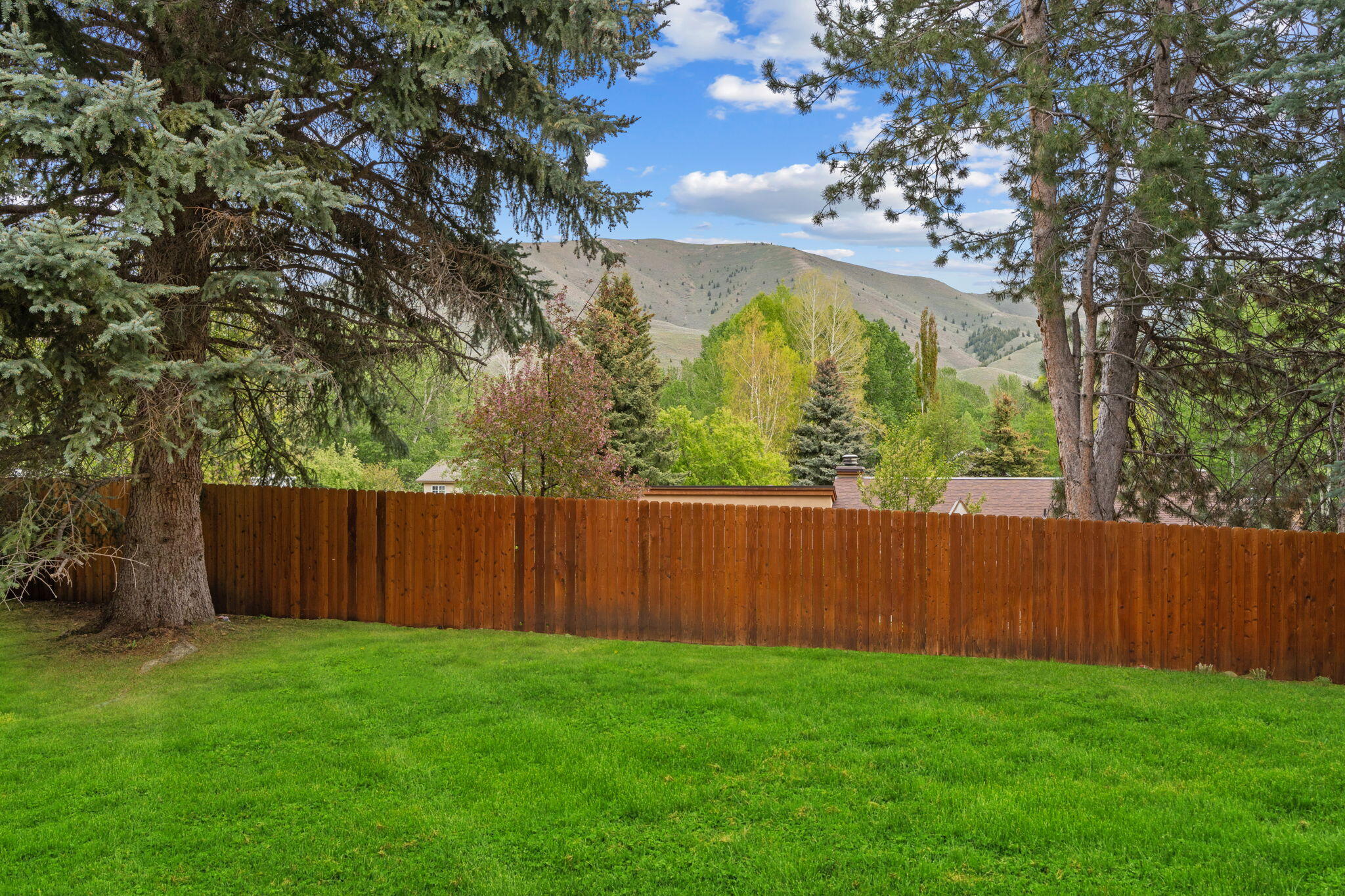 242 Meadows Loop