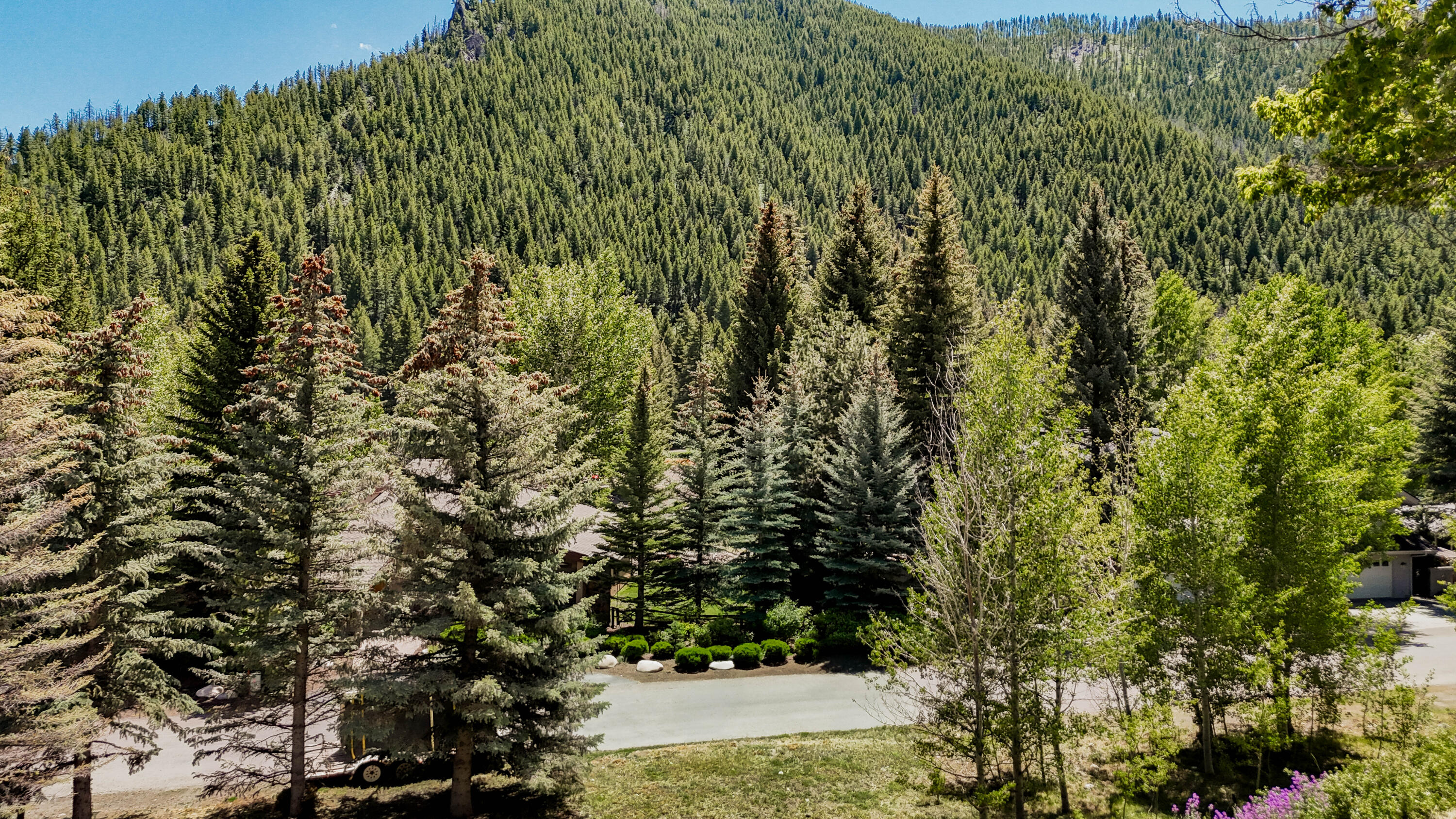 TBD Bald Mountain Rd