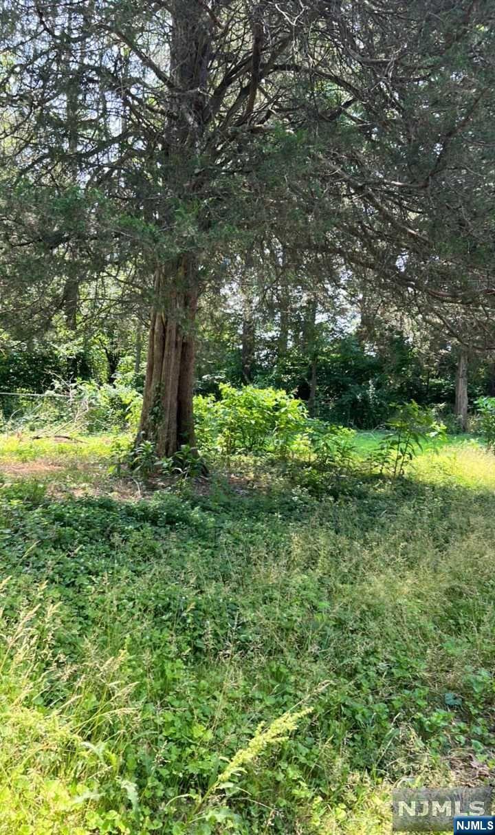 10 W White Birch Drive