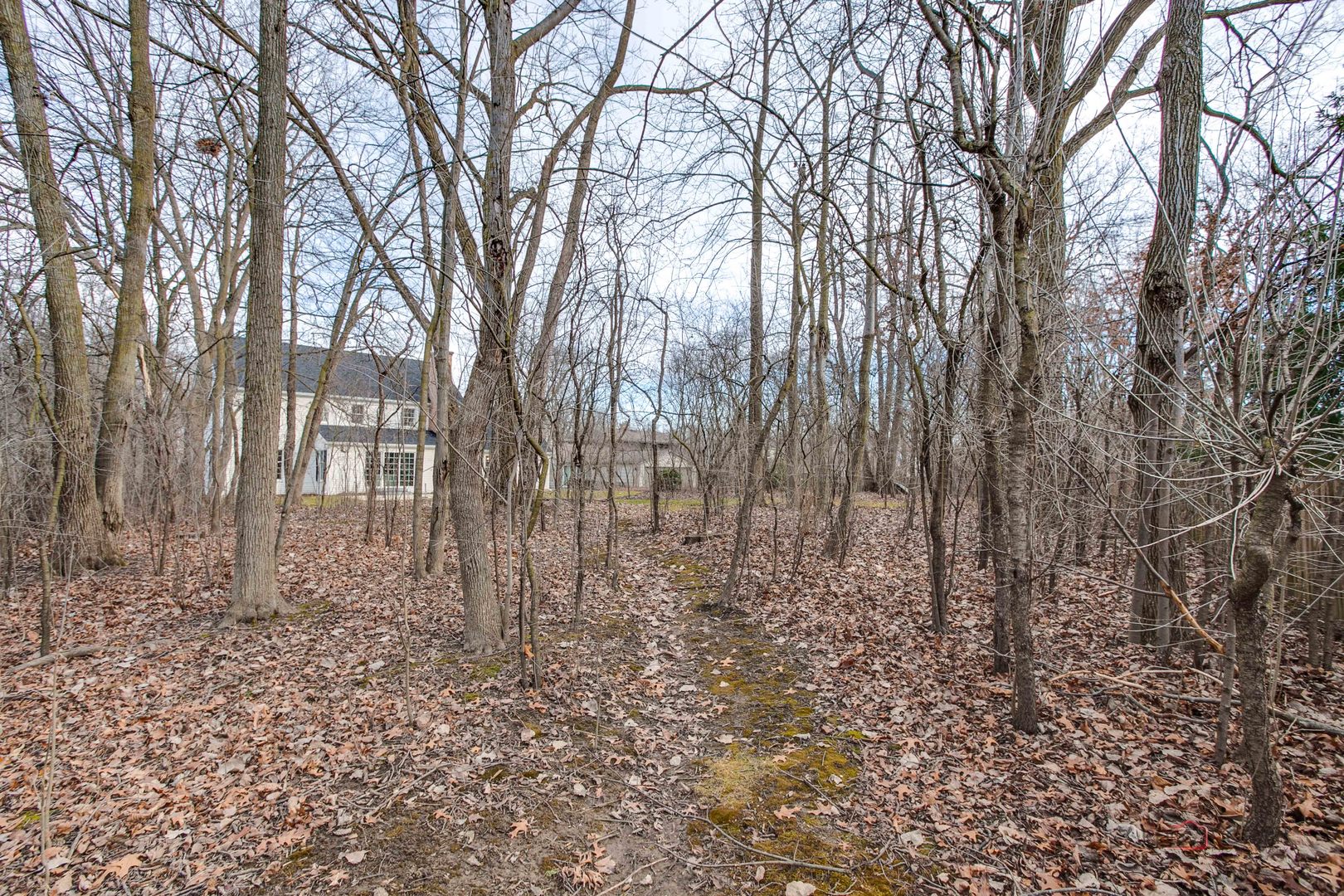 727 Longwood Drive