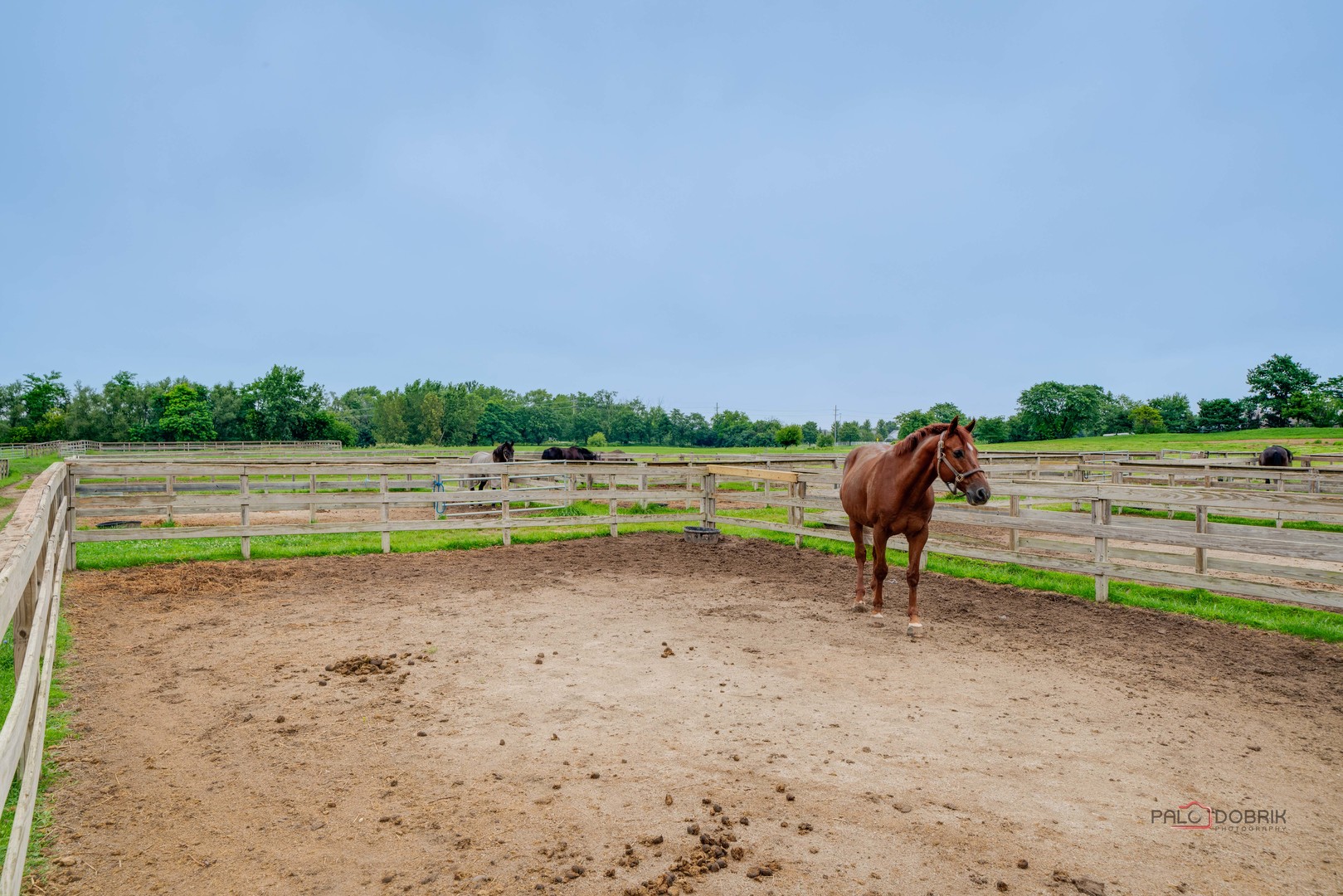 27473 N La Vista Drive