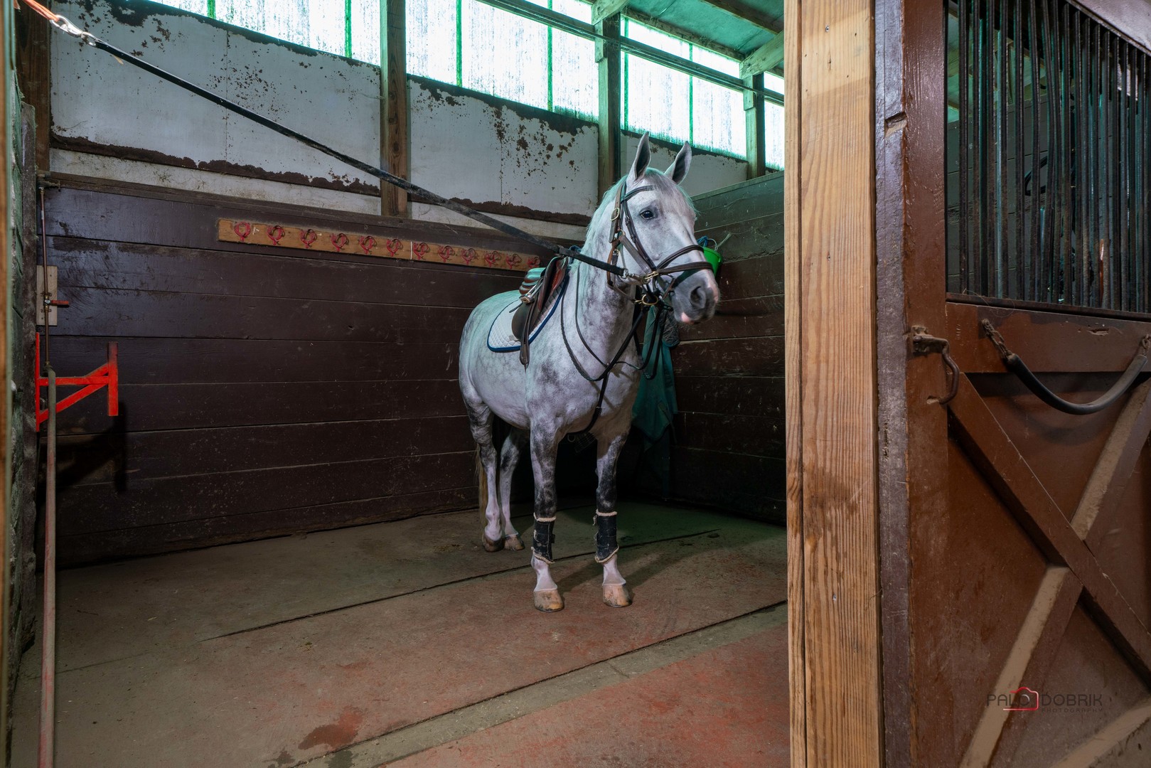 27473 N La Vista Drive