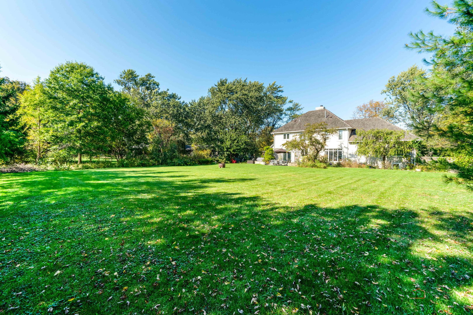 3031 Farner Court