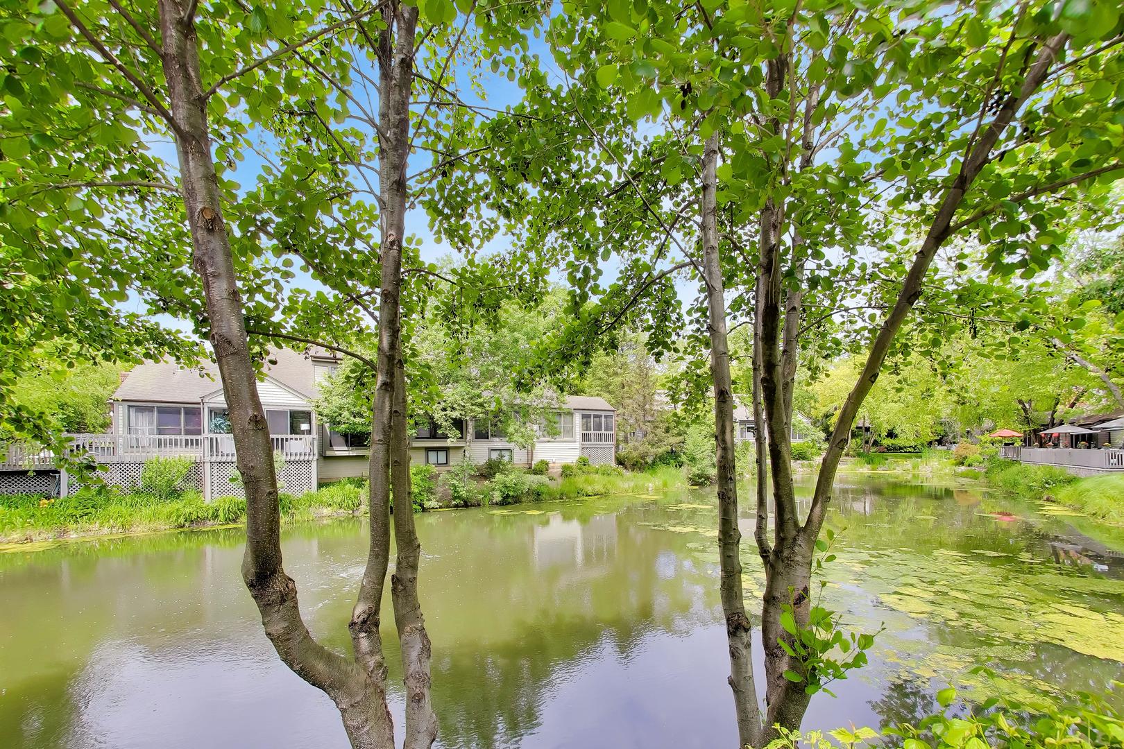 32 Warrington Drive