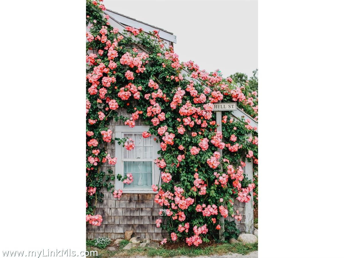 32 Cannonbury Lane
