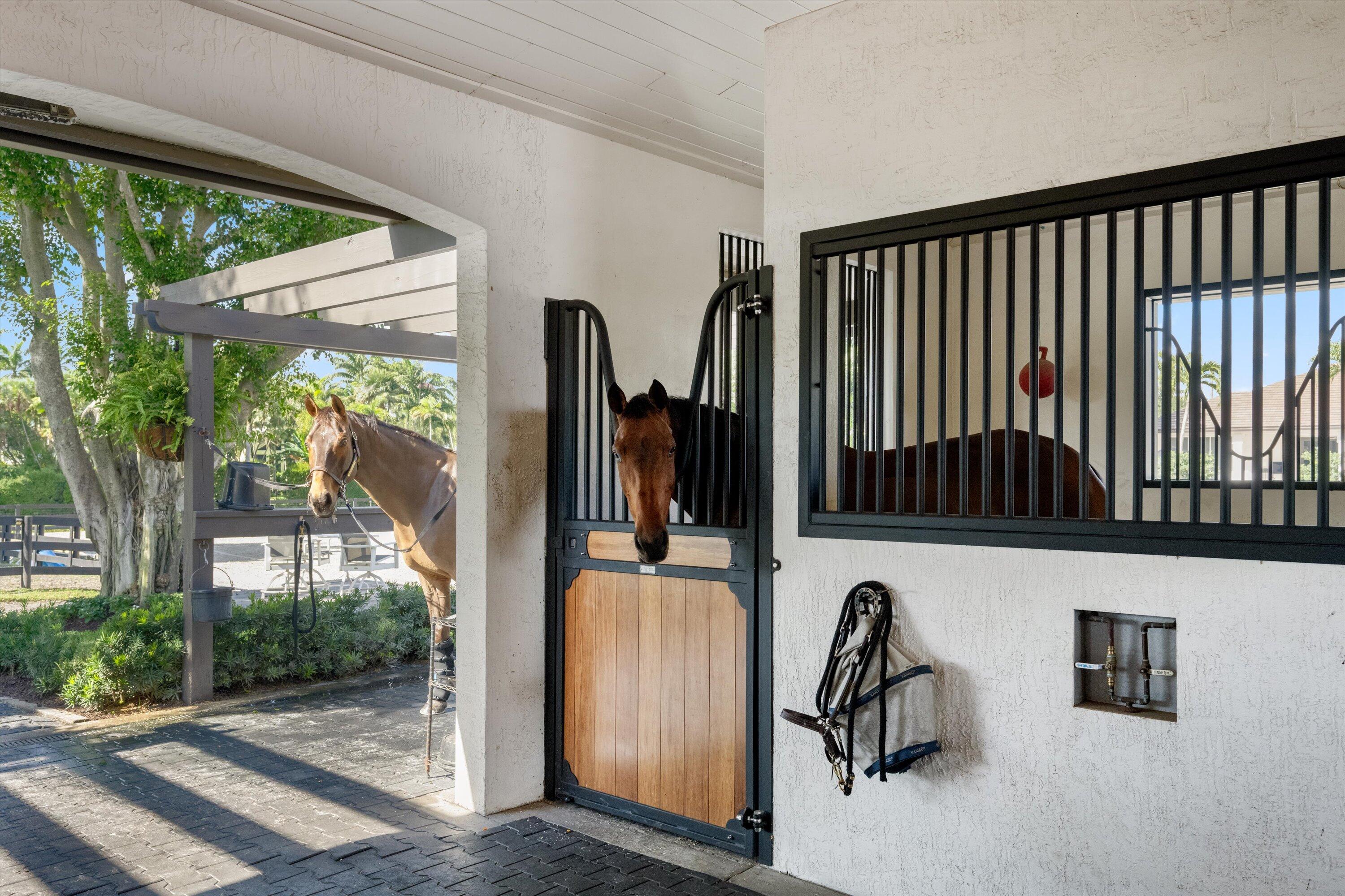 14439 Draft Horse Lane