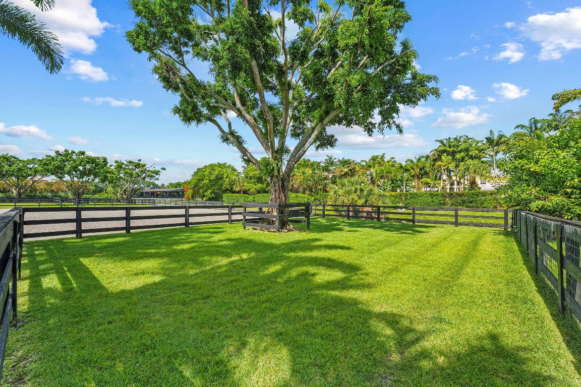 14439 Draft Horse Lane