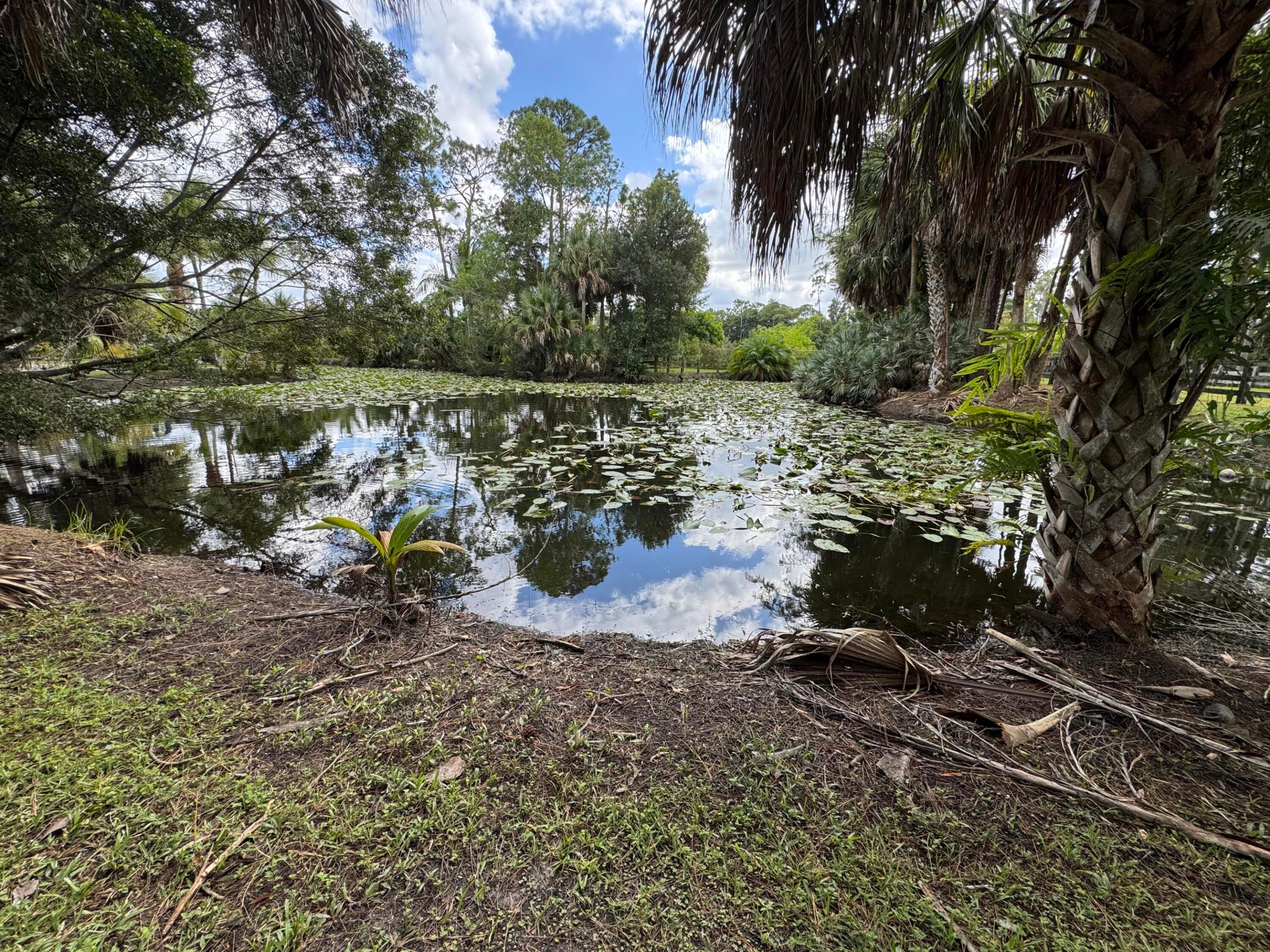 13106 Bryan Road Road