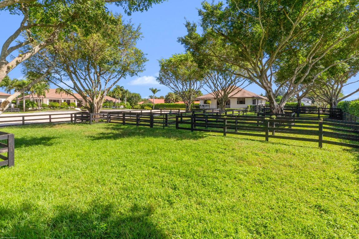 14439 Draft Horse Lane