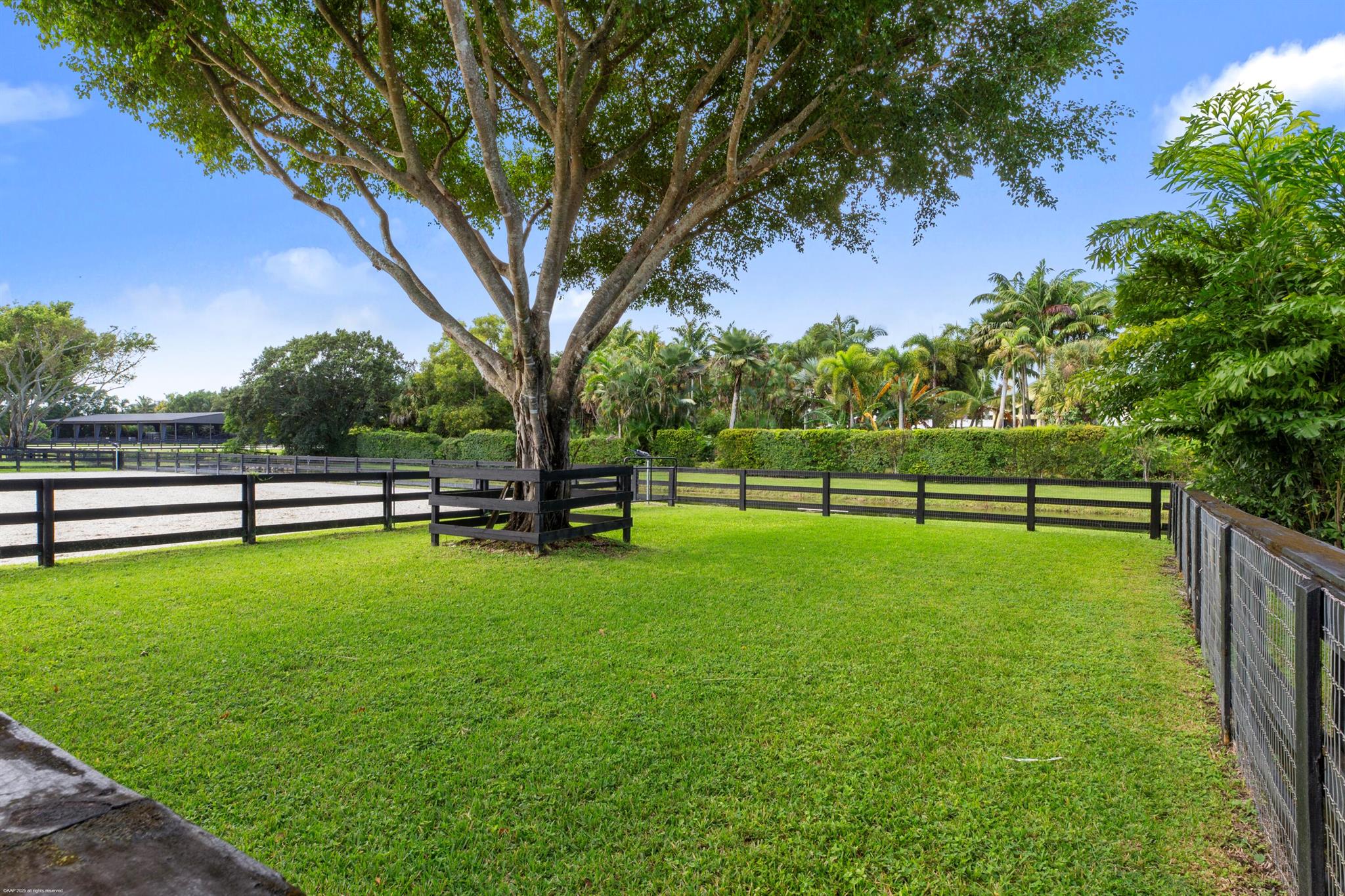 14439 Draft Horse Lane