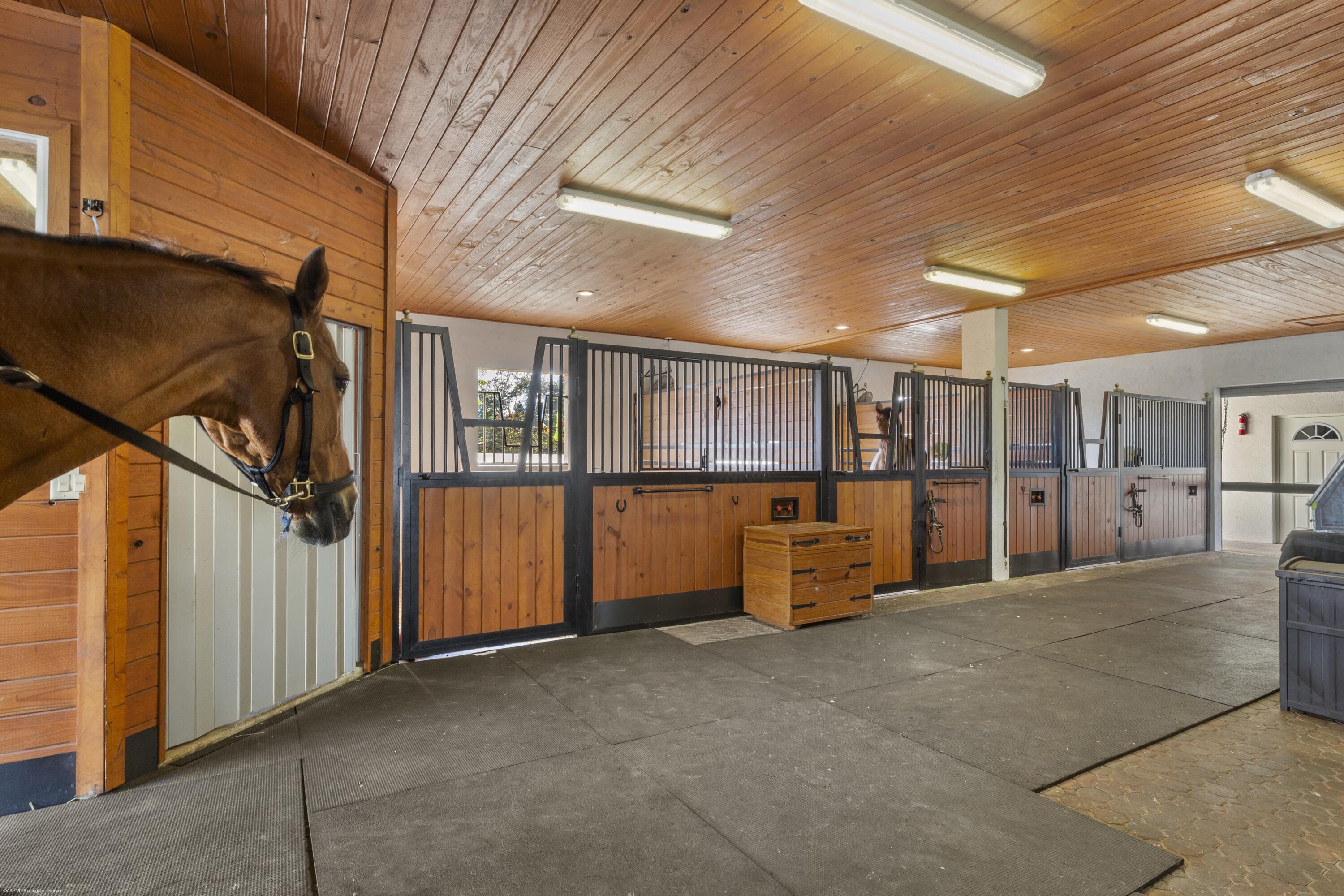 15330 Ocean Breeze Lane