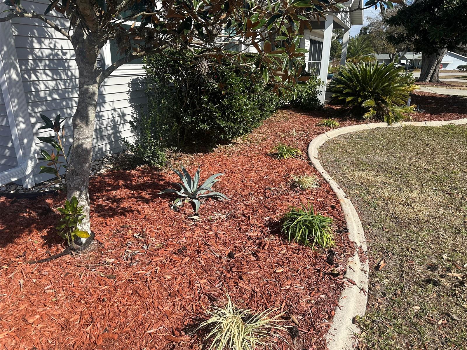 8591 SW 116TH LANE RD