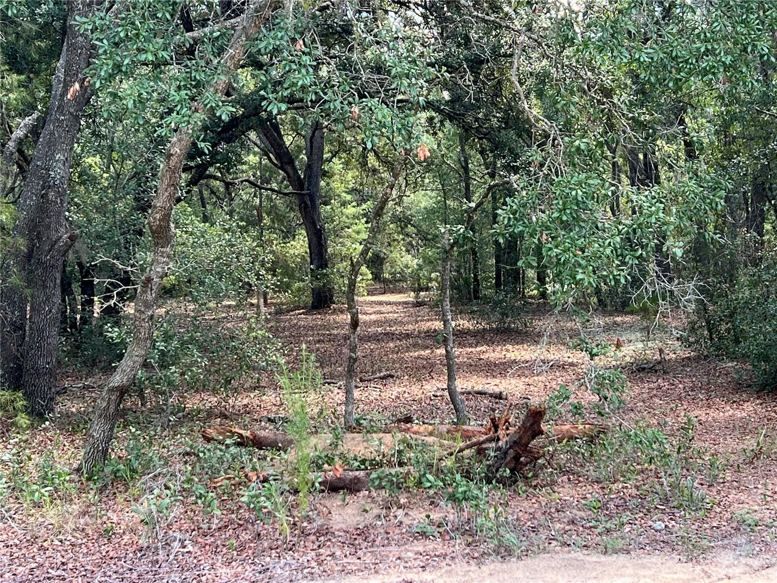 LOT 36 BLK1140 FISHER WAY TRAIL